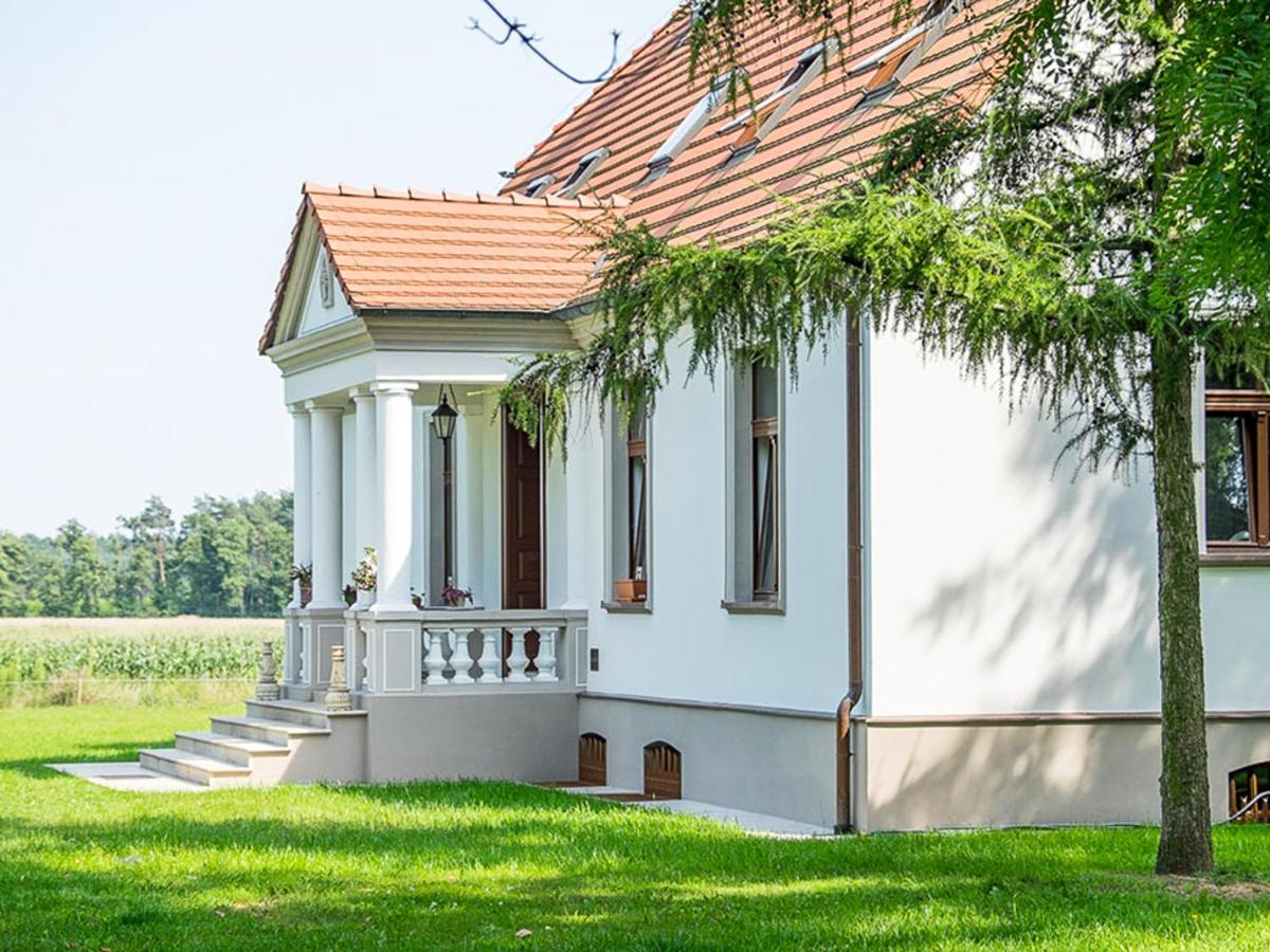 Dwor Gogolewo Nad Warta Bed & Breakfast Ksiaz Wielkopolski Exterior photo